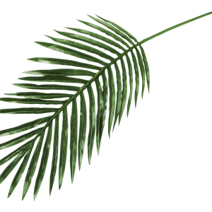 FEUILLE DE PALMIER ARTIFICIELLE-100CM-VERT