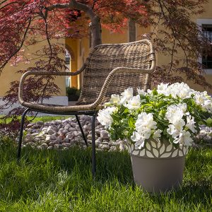 POT DE FLEUR EN PLASTIQUE-25CM-CLOE-GRIS BLANC