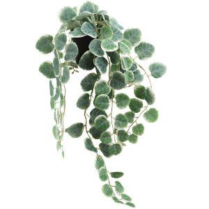 PLANTE ARTIFICIELLE-CEROPEGIA-63CM-FEUILLES-POT NOIR
