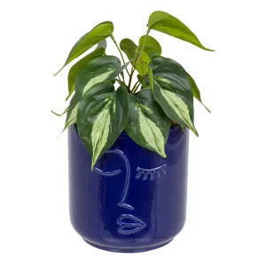 Plante artificielle feuilles vertes-30cm-pot en céramique violet visage