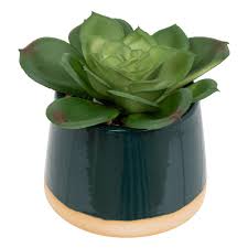 Plante artificielle succulent-12cm-pot en céramique ASST – Image 5