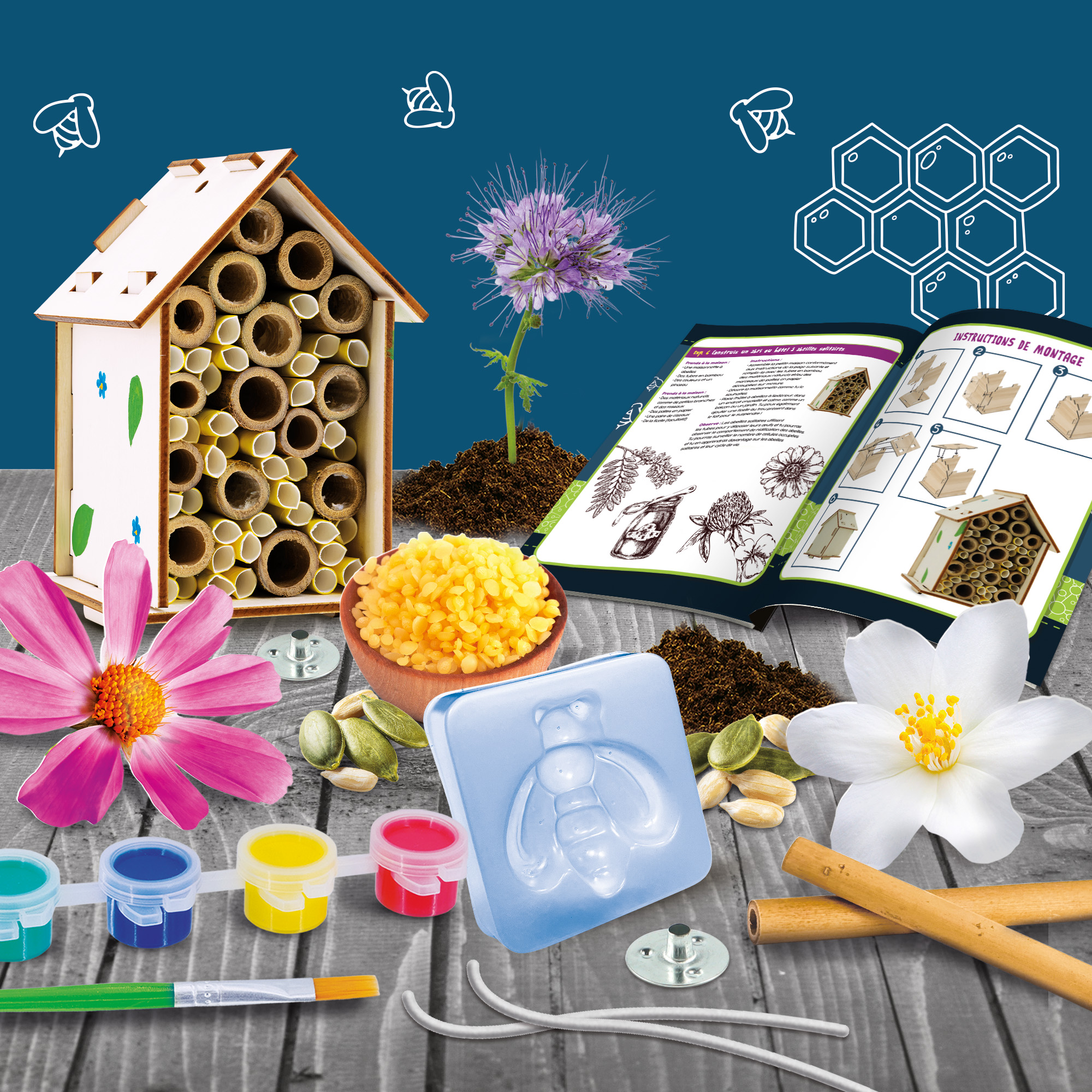 Jeu de science le laboratoire des abeilles -8-12ans - Image 2