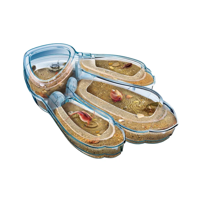 CLEMENTONI-SCIENCE ET JEU TRIOPS LES ANIMAUX+8ANS - Image 3