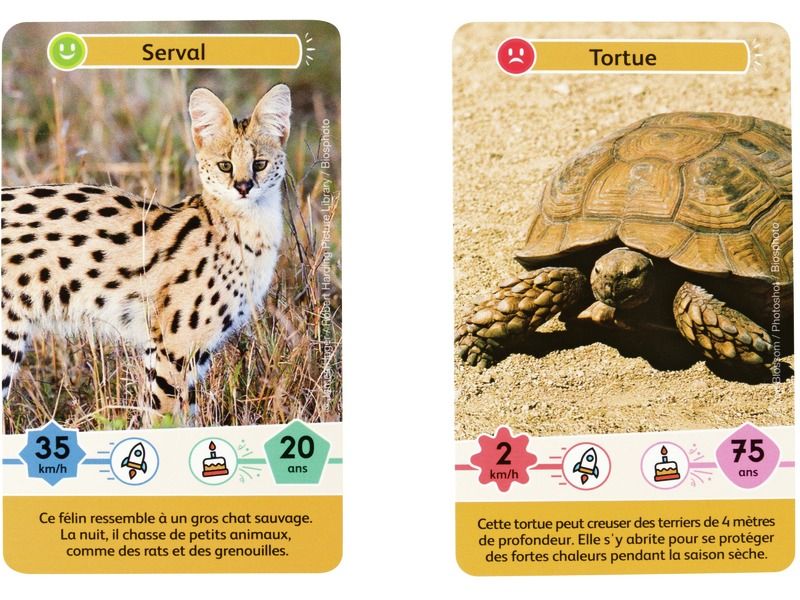 Jeu defis nature junior rois de la savane 34 cartes +5ans - Image 2