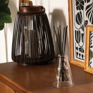 Diffuseur de senteur + tiges en bambou-100ml-parfums ASST