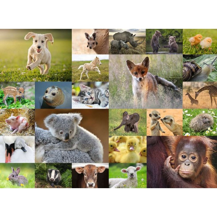 Puzzle xxl 200pcs-adorables bébés animaux +8ans - Image 3