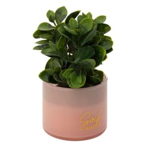 Plante artificielle succulent-vert-pot en verre couleur asst