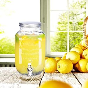 DISTRIBUTEUR DE BOISSONS EN VERRE-8L