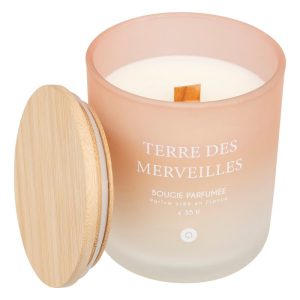 BOUGIE PARFUMEE-255G-DANS PHOTOPHORE EN VERRE-TERRE DES MERVEILLES