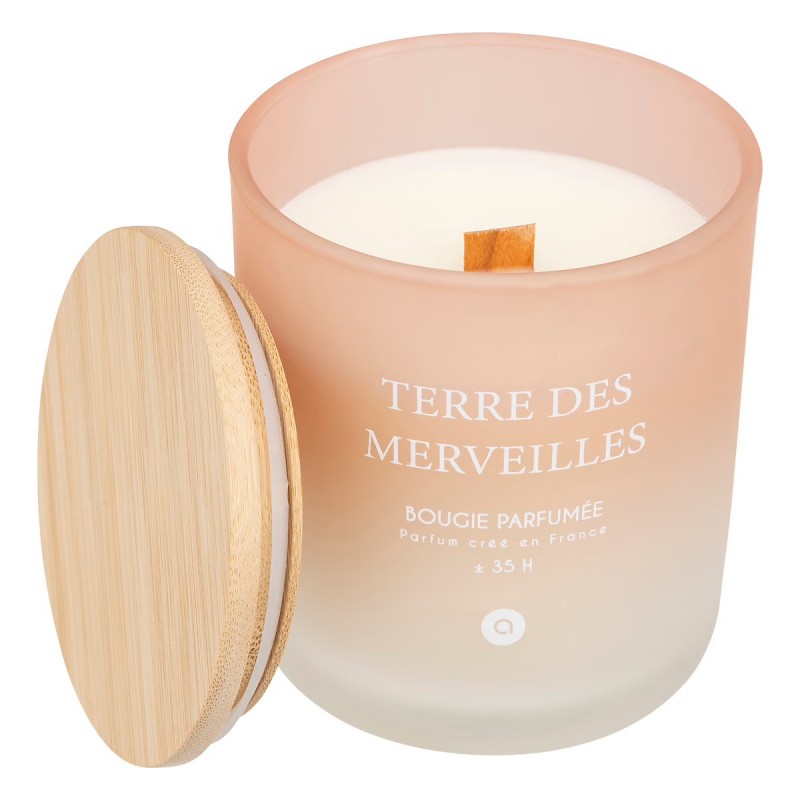 BOUGIE PARFUMEE-255G-DANS PHOTOPHORE EN VERRE-TERRE DES MERVEILLES
