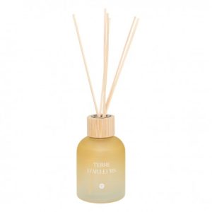 DIFFUSEUR DE SENTEUR+TIGES EN BAMBOU-150ML-TERRE D'AILLEURS