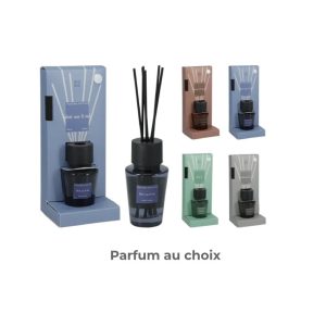 Diffuseur de senteur + tiges en bambou-100ml- ASST